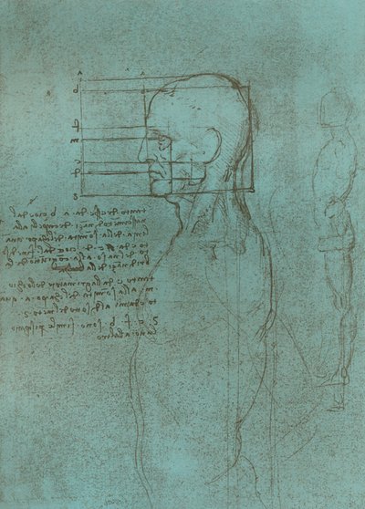 رسم يوضح نظرية نسب الشكل البشري ، c1472-c1519 1883. بواسطة ليوناردو دا فينشي