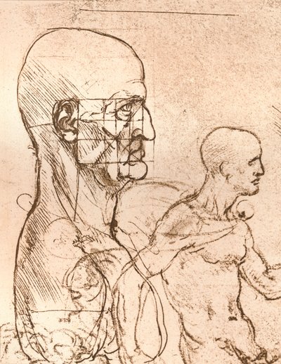 رسم يوضح نظرية نسب الشكل البشري ، c1472-c1519 1883 بواسطة ليوناردو دا فينشي