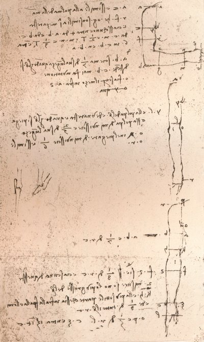 رسم يوضح نظرية نسب الشكل البشري ، c1472-c1519 1883 بواسطة ليوناردو دا فينشي