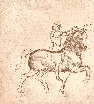 رسم حصان مشي ، c1472-c1519 1883 بواسطة ليوناردو دا فينشي