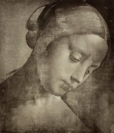 رأس أنثوي ، رسم ليوناردو دافنشي. مجلس الوزراء للرسومات والمطبوعات ، معرض أوفيزي ، فلورنسا بواسطة Leonardo da Vinci