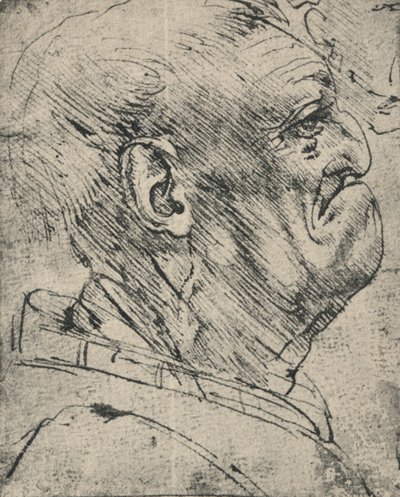 صورة غروتسك لرجل إلى اليمين ، c1480 1945 بواسطة ليوناردو دا فينشي
