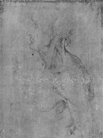 رأس تمثال نصفي لرجل عجوز إلى اليسار ، c1480 1945 بواسطة ليوناردو دا فينشي