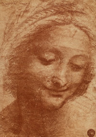 رأس امرأة أو SantAnna ، رسم ليوناردو دا فينشي ، يدرس لرئيس لوحة سانت أنس التي ترسم مادونا مع الطفل وسانت آنا الآن في متحف اللوفر. يقع التصميم في Gallerie dellA بواسطة ليوناردو دا فينشي