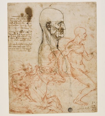 تمثال نصفي بشري مع دراسة النسب ، ج. 1490-1499. بواسطة ليوناردو دا فينشي