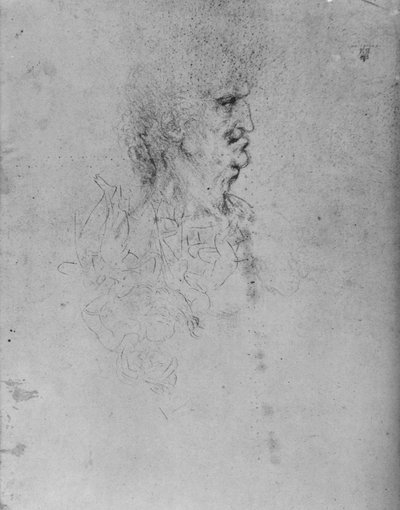 الملف الشخصي إلى يمين العجوز ، c1480 1945 بواسطة ليوناردو دا فينشي