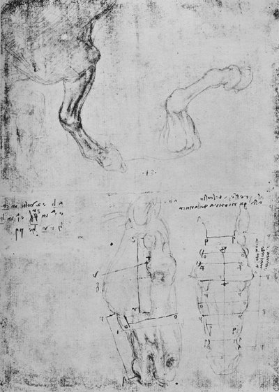 دراسات الخيول الأمامية والرسومات المقاسة لرؤوس الخيول ، c1480 1945 بواسطة ليوناردو دا فينشي