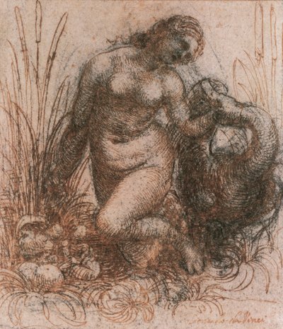 دراسة ليدا وبجعة ليوناردو دافنشي (1452-1519) ، رسم بواسطة ليوناردو دا فينشي