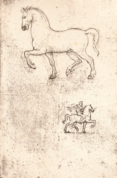 دراسة لنصب سفورزا ، c1482-c1499 1883 بواسطة ليوناردو دا فينشي