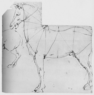 دراسة الحصان المميز للقياس ، c1480 1945 بواسطة ليوناردو دا فينشي