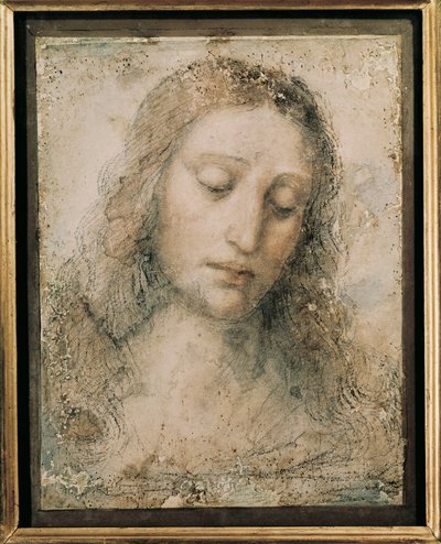 "رأس المسيح الفادي" رسم تلميذ ليوناردو دا فينشي بواسطة ليوناردو دا فينشي