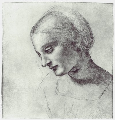رأس مادونا ، c1484-1486 بواسطة Leonardo da Vinci