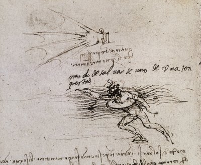 النخلة والعوامة Codex Atlantic بواسطة ليوناردو دا فينشي