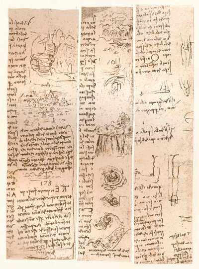 ثلاثة رسومات ، c1472-c1519 1883 بواسطة ليوناردو دا فينشي