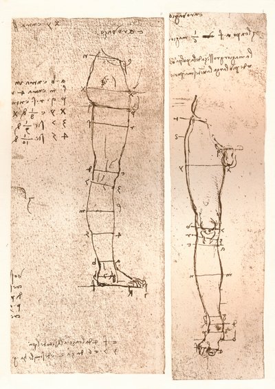 رسمان يوضحان نظرية نسب الشكل البشري ، c1472-c1519 1883 بواسطة ليوناردو دا فينشي