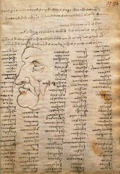 قائمة الكلمات والملف الشخصي للذكور ، من Codex Trivulzianus بواسطة ليوناردو دا فينشي
