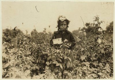 آني بيسي تلتقط التوت في الحقول بالقرب من بالتيمور ، ماريلاند ، 1909 بواسطة لويس ويكس هاين
