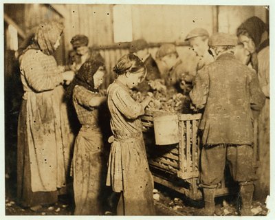 الهزازون الذين تتراوح أعمارهم بين حوالي 10 افتتاح المحار في شركة Varn und Platt Canning ، جزيرة يانجيس ، ساوث كارولينا ، 1913 بواسطة لويس ويكس هاين