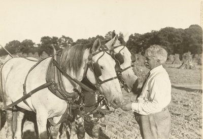 بدون عنوان ، كاليفورنيا. 1935. بواسطة لويس ويكس هاين