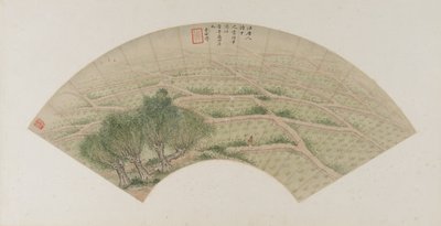 حقول الأرز مع هيرونز ، أسرة تشينغ ، 1741 (حبر ولون على ورق) بواسطة Li Shizuo