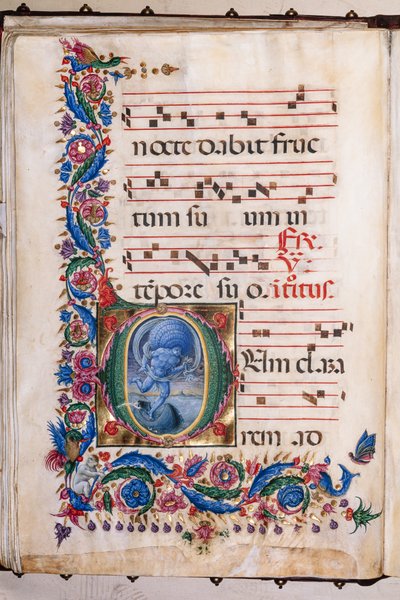 مكتبة Piccolomini: كتاب جوقة ، سمك القد. 20.5 ، صص. 36v مع "Aeolus" ، بواسطة Liberale da Verona (حوالي 1445 - 1527/9). بواسطة الليبراليون دا فيرونا