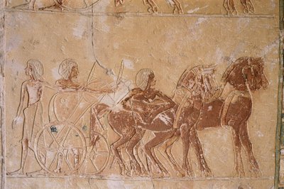 Egypt, Cairo, Ancient Memphis, Saqqara necropolis, painted relief
