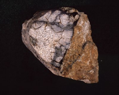 Meteorite found in India in 1875 - Museum d