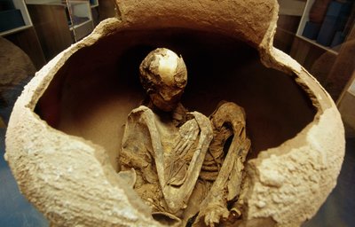 Mummy in a ceramic urn. Atacama civilization, Paleolithic. بواسطة غير معروف غير معروف