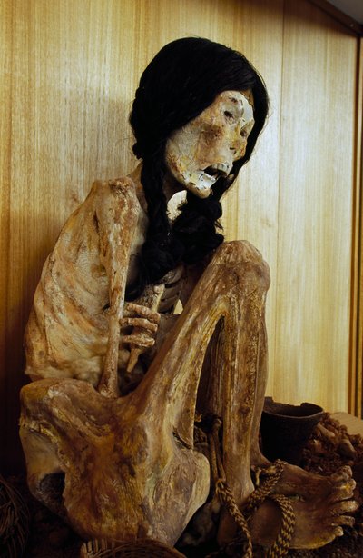 Mummy known as Miss Chile, from San Pedro de Atacama, Chile, 500 BC بواسطة غير معروف غير معروف