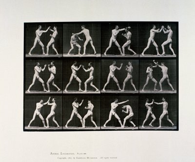 Nude male athletes boxing, c 1872-1885 بواسطة غير معروف غير معروف