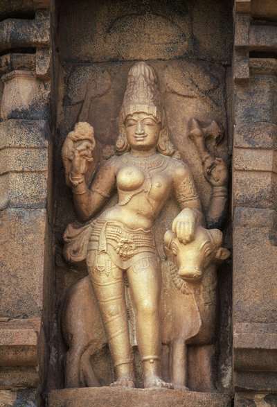 Relief depicting Parvati, Brihadisvara temple, Gangaikonda Cholapuram, Tamil Nadu, India بواسطة غير معروف غير معروف