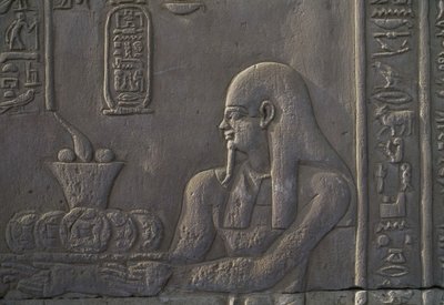 Relief depicting a donor, Temple of Kom Ombo, Egypt, Egyptian civilization, Ptolemaic dynasty, 2nd-1st century BC بواسطة غير معروف غير معروف