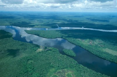 Venezuela, Guayana, Amazonas State, Orinoco River, aerial view (photo) بواسطة غير معروف غير معروف