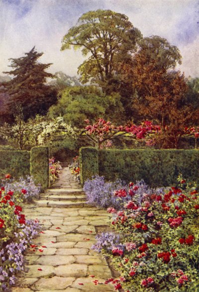 The Rose Walk (colour litho) بواسطة ليليان ستانارد