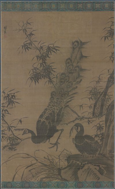 زوج من الطاووس بواسطة Lin Liang