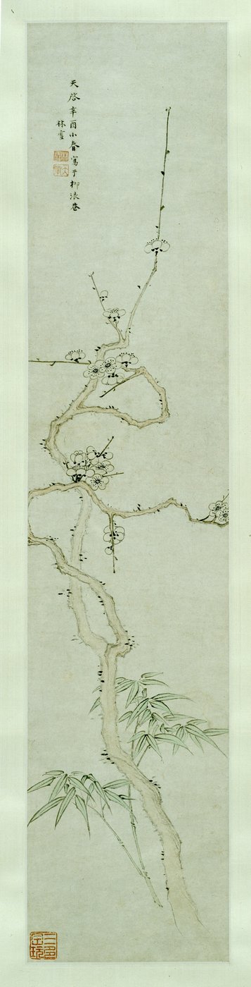 البرقوق والخيزران بواسطة Lin Xue