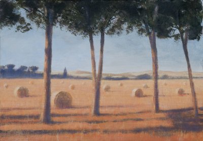 Hay Bales and Pines، Pienza، 2012 (أكريليك على قماش) بواسطة لينكولن سيليجمان