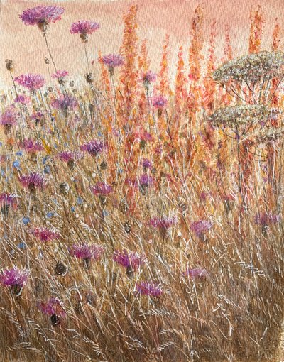 Scabious & Docks بواسطة لينكولن سيليجمان