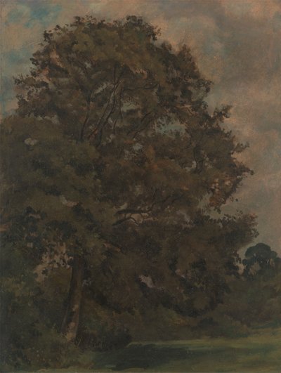 دراسة شجرة الرماد بواسطة Lionel Constable