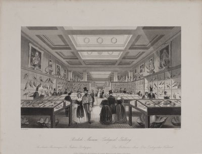 View of the Zoological Gallery, British Museum showing visitors looking at displays, c.1850 (engraving) بواسطة لويلين (بعد) جيويت