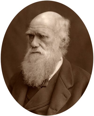 تشارلز داروين ، 1878. بواسطة لوك ويتفيلد