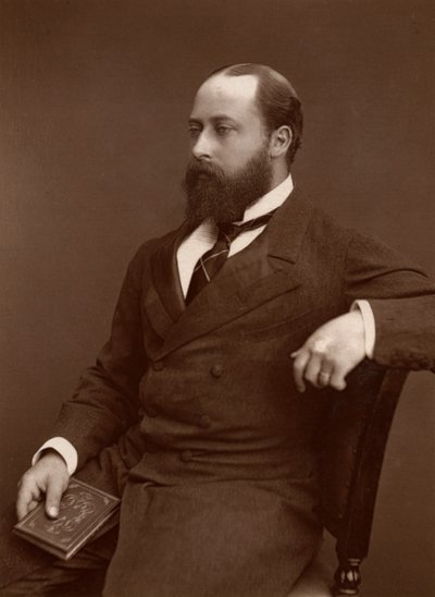 صاحب السمو الملكي أمير ويلز 1876. بواسطة لوك ويتفيلد