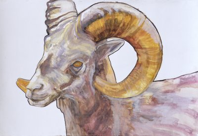 American Long Horn ، 2004 (ألوان مائية وأكريليك على جيسو على ورق) بواسطة لو جيبس