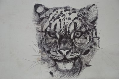 سنو ليوبارد ، 2016 ، (bic biro on paper) بواسطة لو جيبس