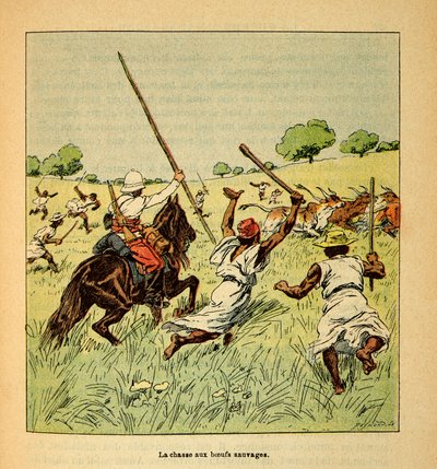 الحرب في مدغشقر - التاريخ القصصي للبعثات الفرنسية 1885-1895 بقلم هنري جالي ديت جاليشيت (1854-1922) ، رسمها لويس بومبلد (1862-1927): صيد الثيران البرية في مدغشقر في عام 1895 ، مجموعة خاصة بواسطة تفجير لويس تشارلز