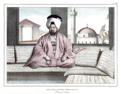 محمد روسيان أفندي درويش ، vaivode d