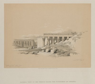 مصر والنوبة ، المجلد الثاني: منظر جانبي للمعبد المسمى Typhonoeum في Dendera ، 1848. بواسطة لويس هاجي