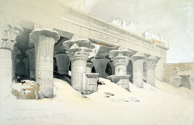 رواق معبد الحجر الرملي في إدفو المخصص للإله حورس برأس الصقر ، مصر ، 1838 بواسطة لويس هاجي