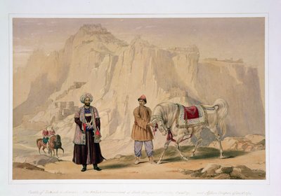 القائد البريطاني لسلاح الفرسان الثاني لشاه شوجان وقوات أفان من الفيلق ، من كتاب "شخصيات وأزياء أفغوانستان" بقلم الكابتن لوكير ويليس هارت ، نُشر عام 1843 (ليثو ملون) بواسطة لويس لاهاي