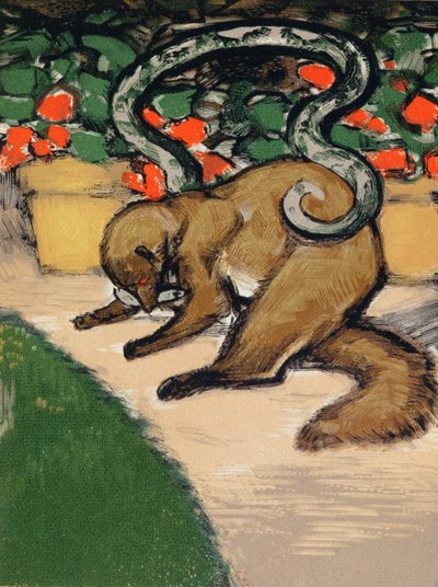ريكي - تيكي - تافي، رسم توضيحي من "كتاب الأدغال" لروديارد كيبلينج (1965-1936) منشور في باريس بواسطة لويس جوزيف سولاس